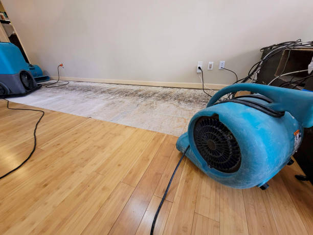 Professional Structural Drying technician working in Clinton, KY